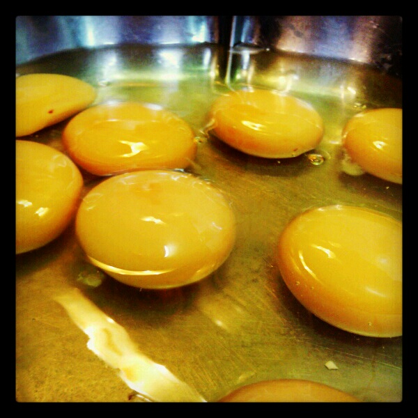 MY PHOTO LIFE MY EGGS OF TROUT