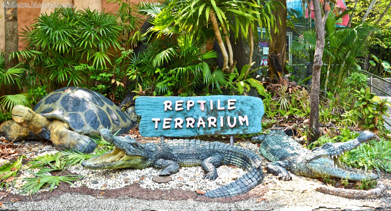 Entree Kibbles Reptile Terrarium House Dusit Zoo [Bangkok]