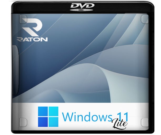 windows 11 pro lite windows 11 pro lite