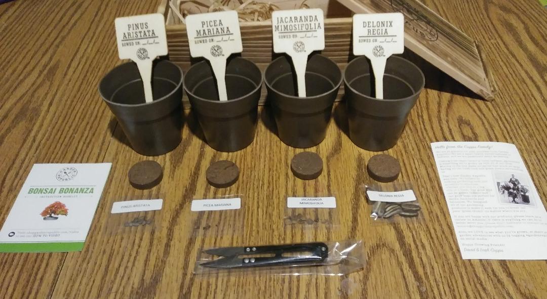 Garden Republic Bonsai Bonanza Seed Starter Kit