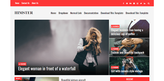 Himster - отзивчива тема за Blogger