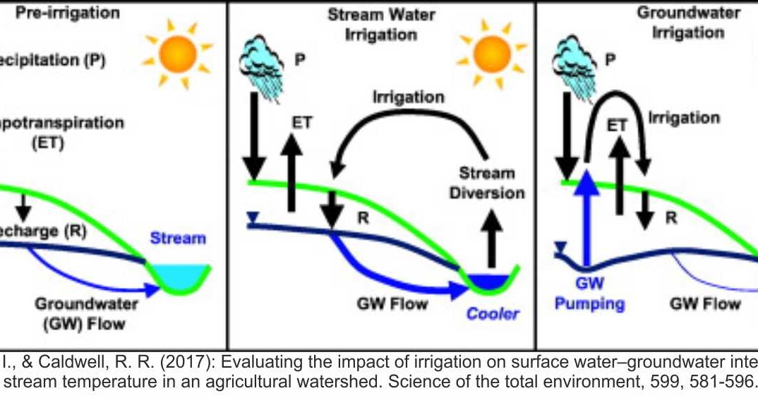 Irrigation groundwater or surface water?