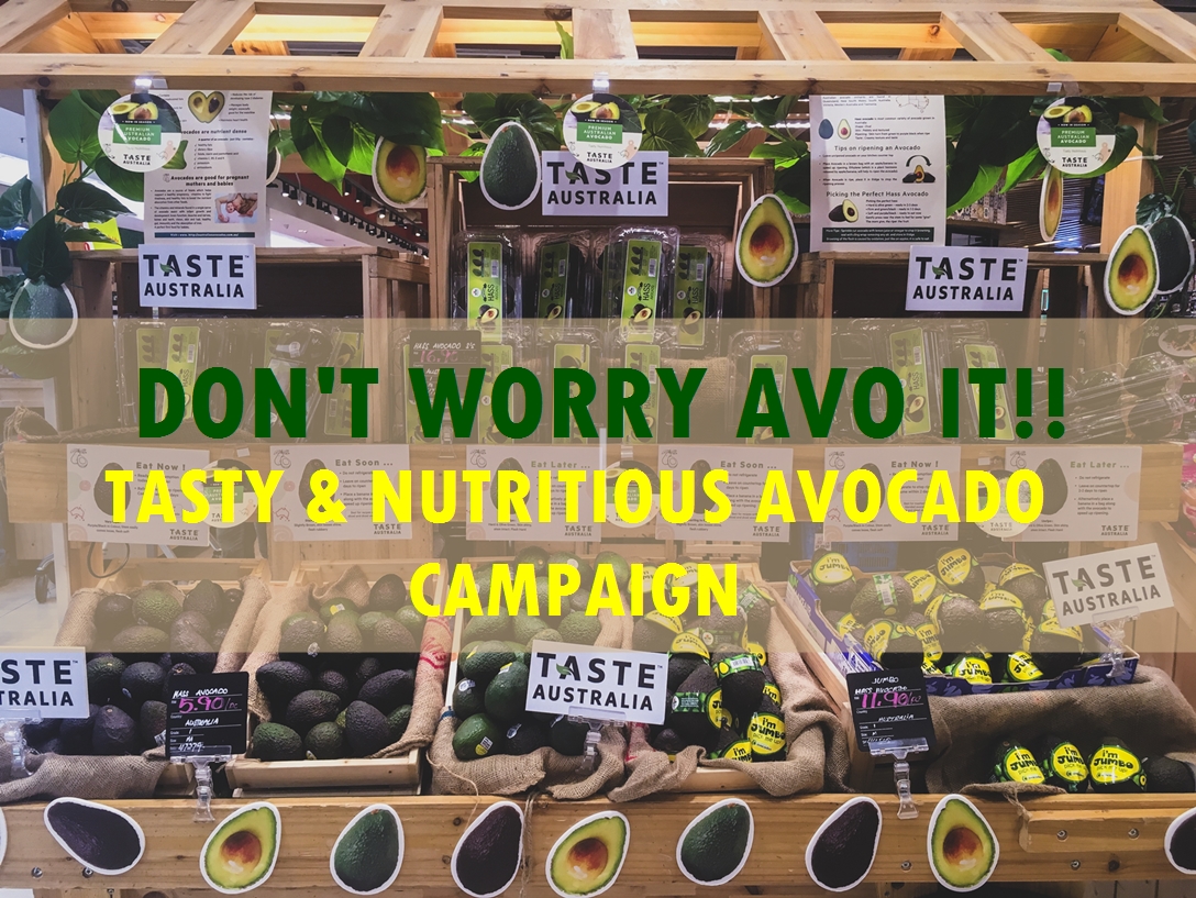 Sugoi Days Taste Australia Premium Avocado in Season