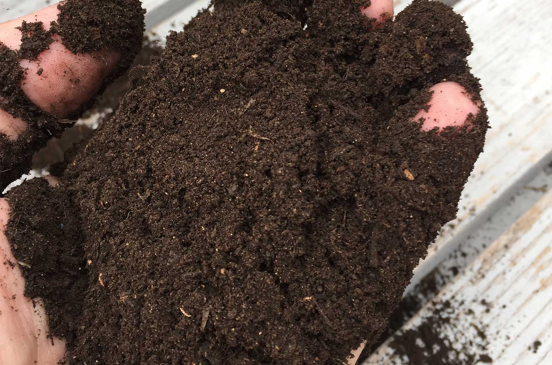 Harvesting Your Worm Castings