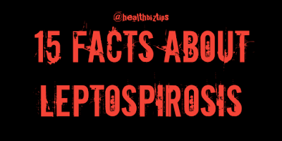 15 Facts about Leptospirosis