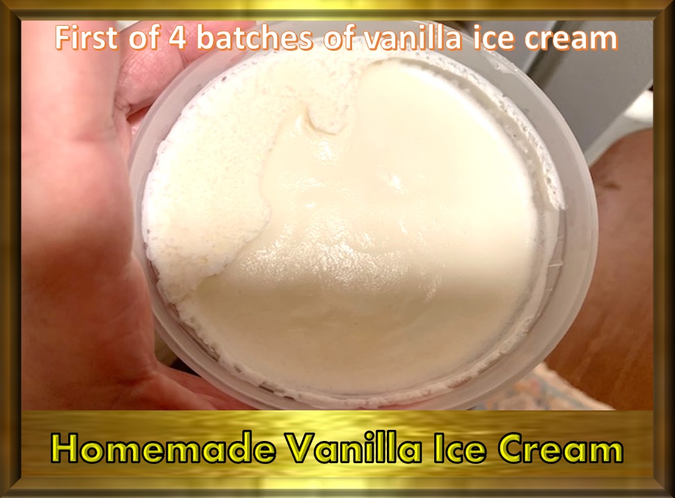 Animal, Nature, and Travel Tastebud Journey Homemade Vanilla Ice