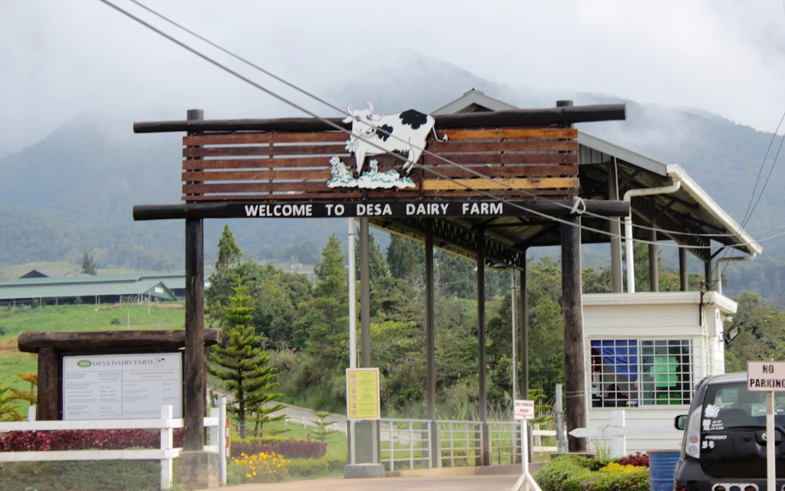 Atuk DESA DAIRY FARM KUNDASANG, SABAH