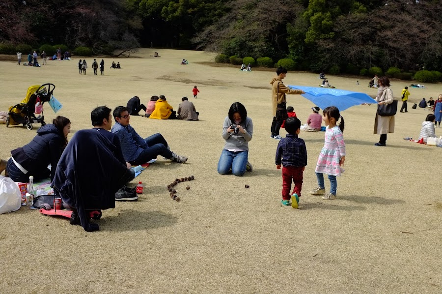 Shinjuku hanami 2017