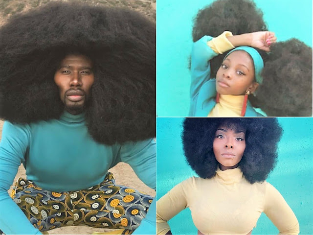 benny harlem hair products: A Comprehensive Guide to Natural Hair Care Excellence benny harlem hair products: A Comprehensive Guide to Natural Hair Care Excellence