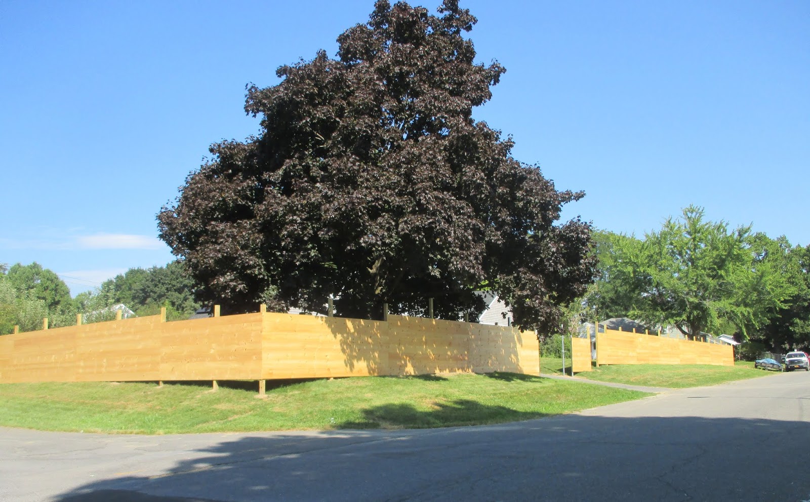 Ami Im Schwabenland Hedges Fences And Privacy