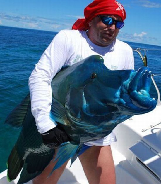 Η αξία των ψαριών