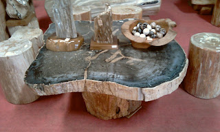 petrified coffee table