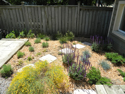 Leslieville Toronto xeriscape garden install after by Paul Jung Gardening Services