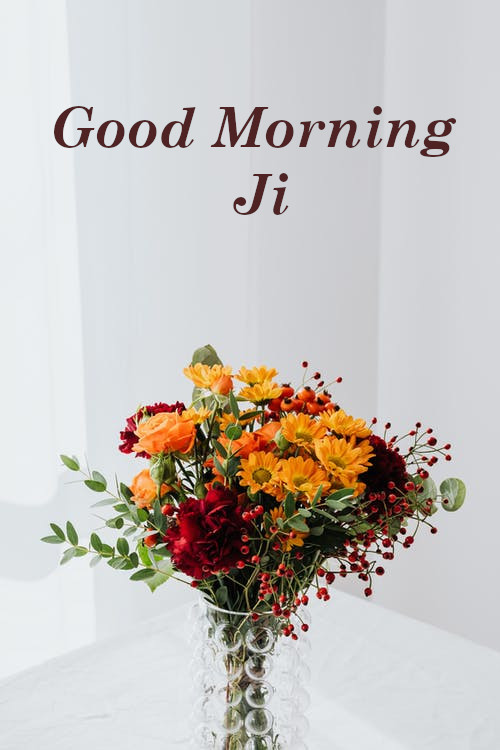 Top 10 Good Morning Ji Images, Pictures, Photos, Greetings for WhatsApp ...