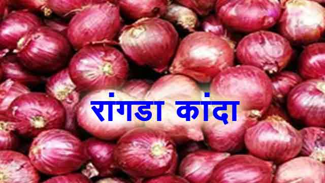 रांगडा कांदा | Onion