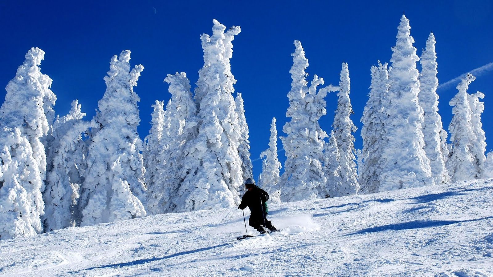Steamboat Springs Discount Lift Tickets Lift Choices