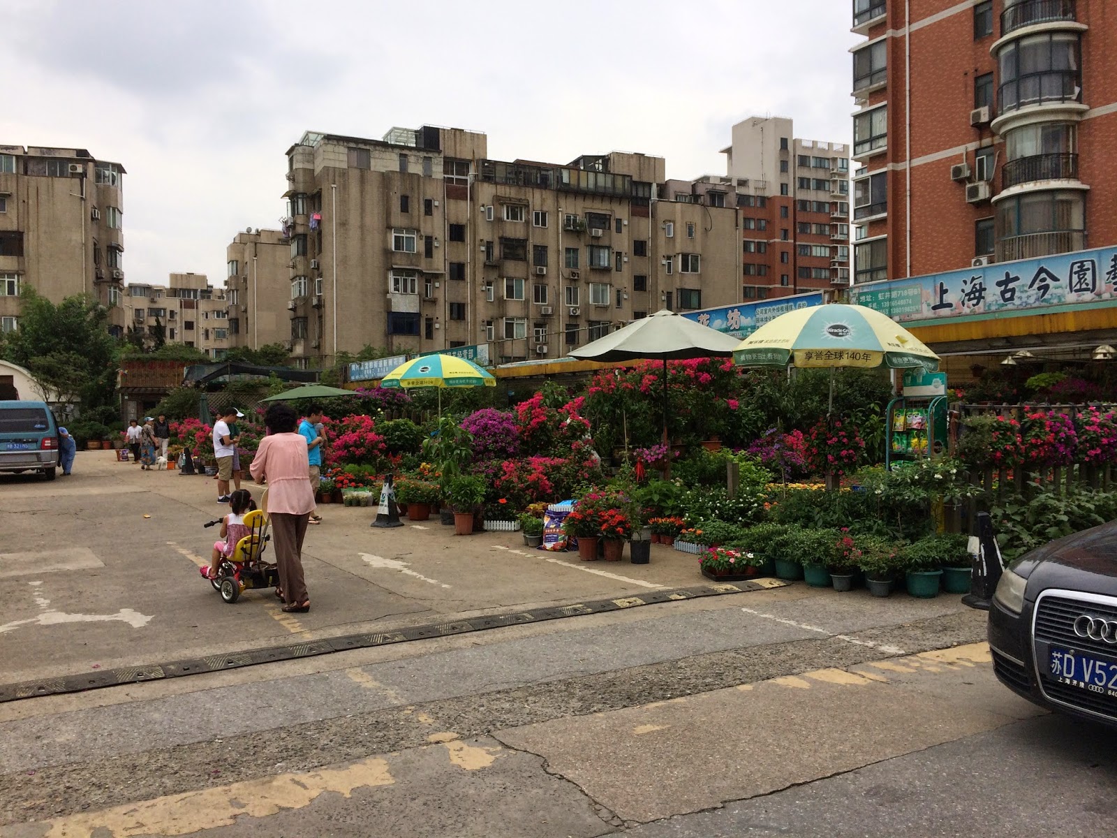 Becky and Kieran in China Hongqiao Bird and Flower Market