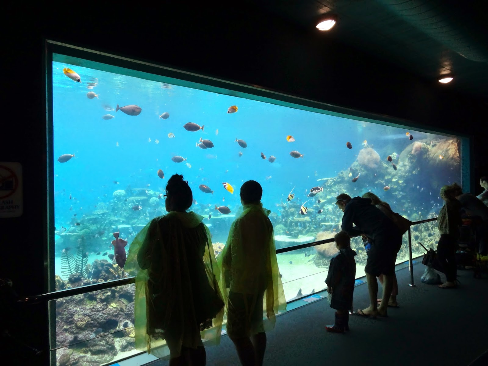 Stu the Zoo Public Aquariums Are they worth visiting?