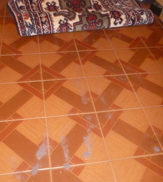tappeto di Kazak a Rovigo, lo sporco che si annida al suo interno