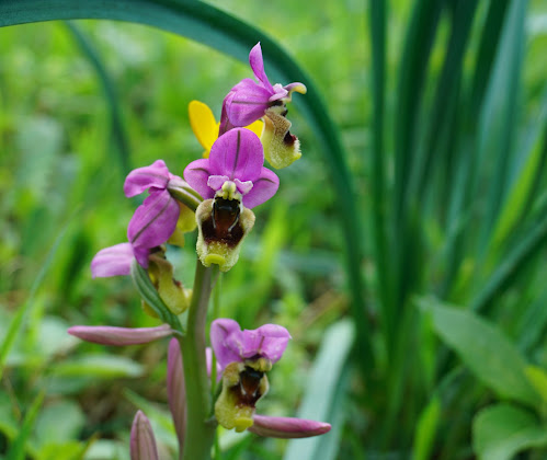 Viajar más allá de los 60: TRES FRONTERAS PARA LLEGAR A LOSA
