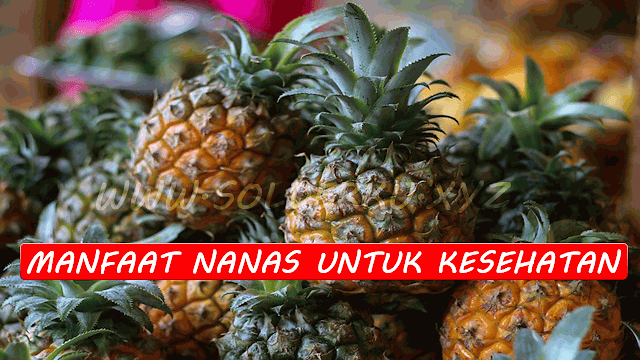 Manfaat Buah Nanas Untuk Kesehatan