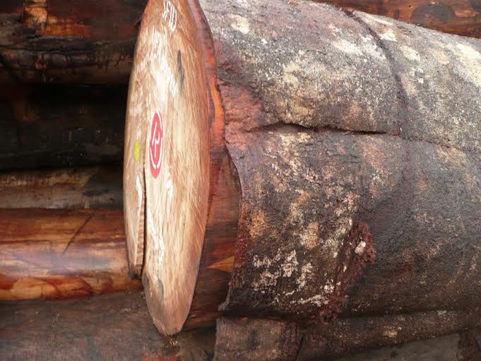 BLCO,FLCO, CRUDE OIL,MAZUT,FOCADOS, JP54, D2, LPFO,JETFUEL,PMS,FLCO,AGO