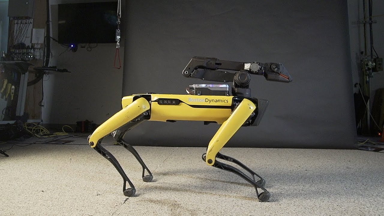 Robot köpek petrol şirketinde işe başladı
