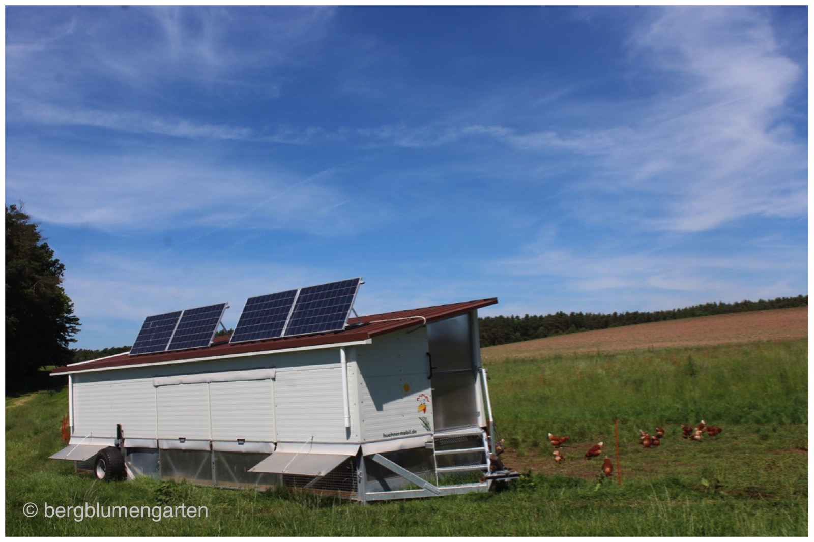 Ausstellung Page 10 Pirckheimer Gesellschaft