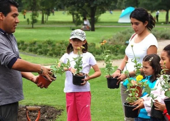 educador ambiental