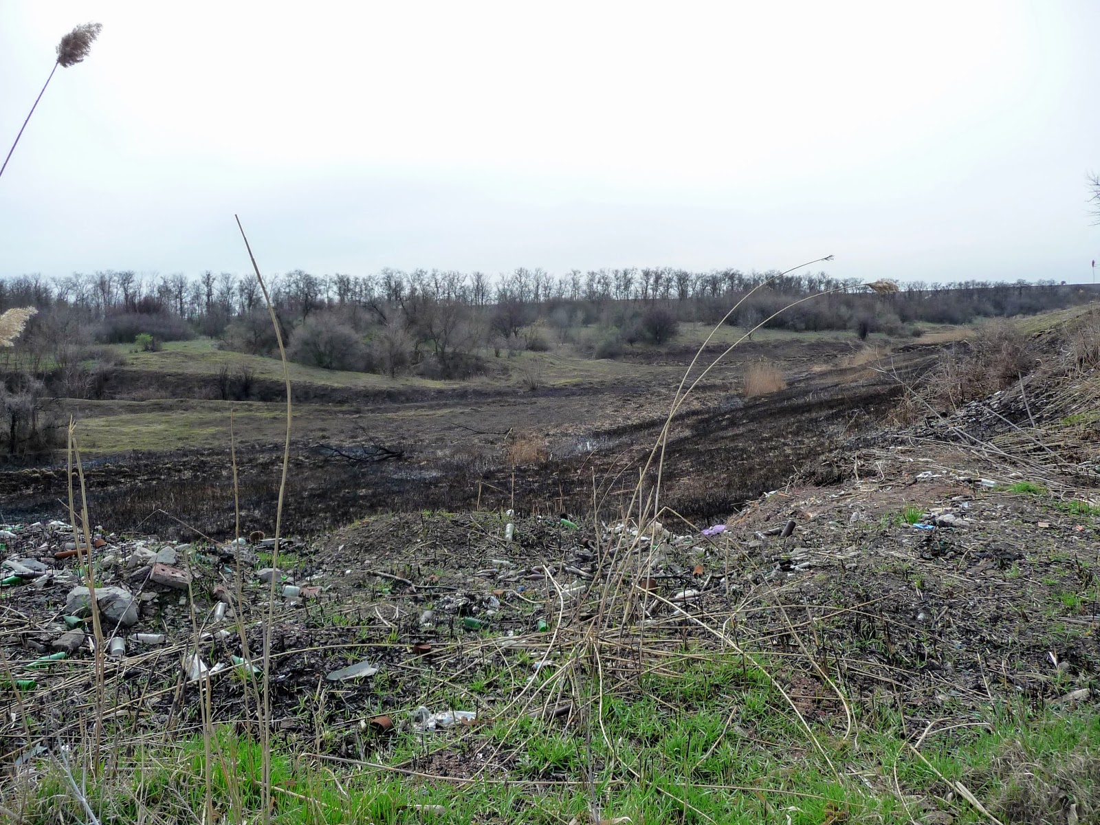 погода в лысовке смоленская