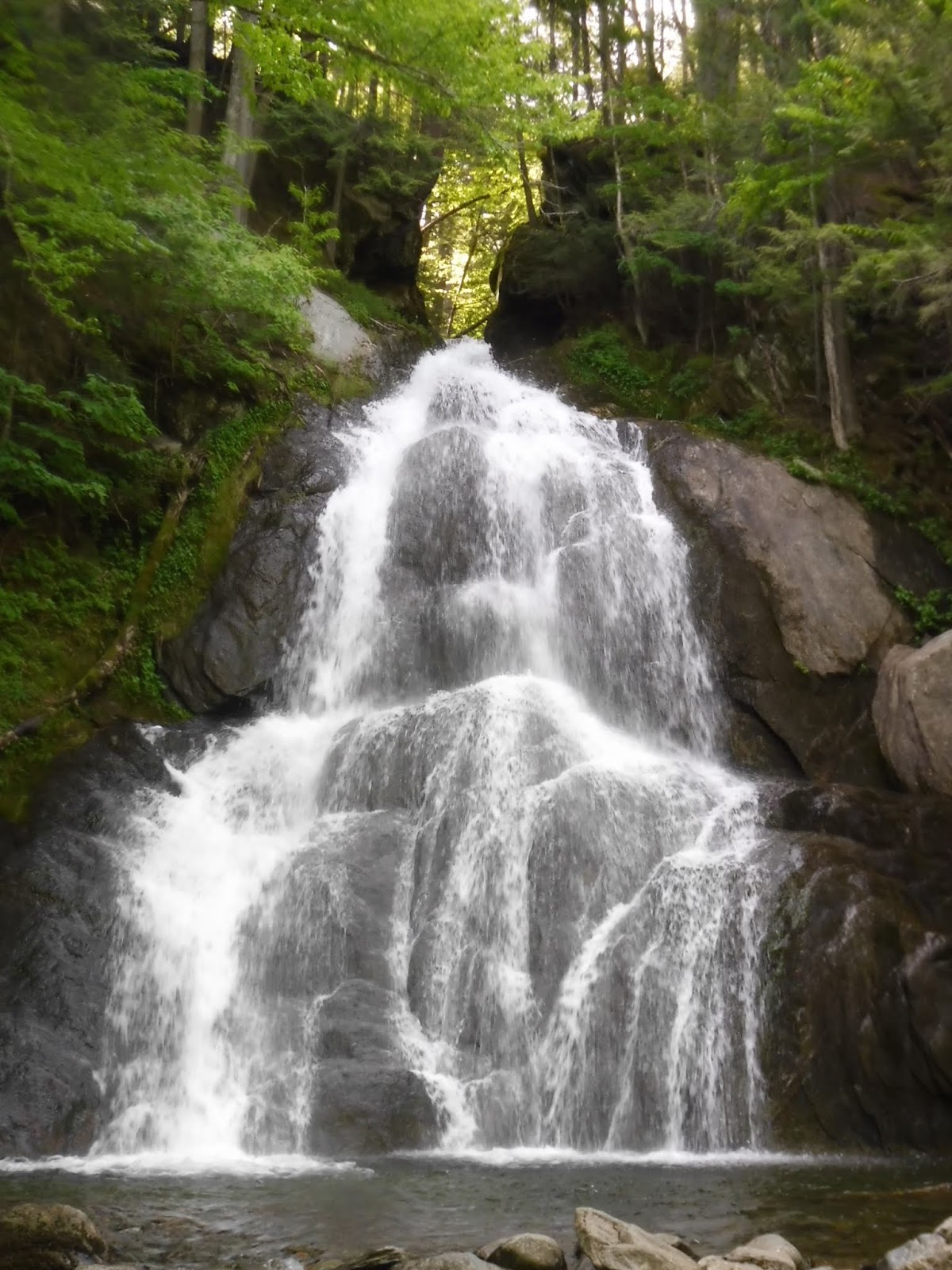 to Green Mountain National Forest (Vermont)
