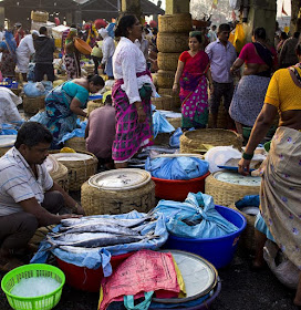 fish market, fish, baskets, fisherfolk, traders, sassoon docks, mumbai, incredible india, sorted, 