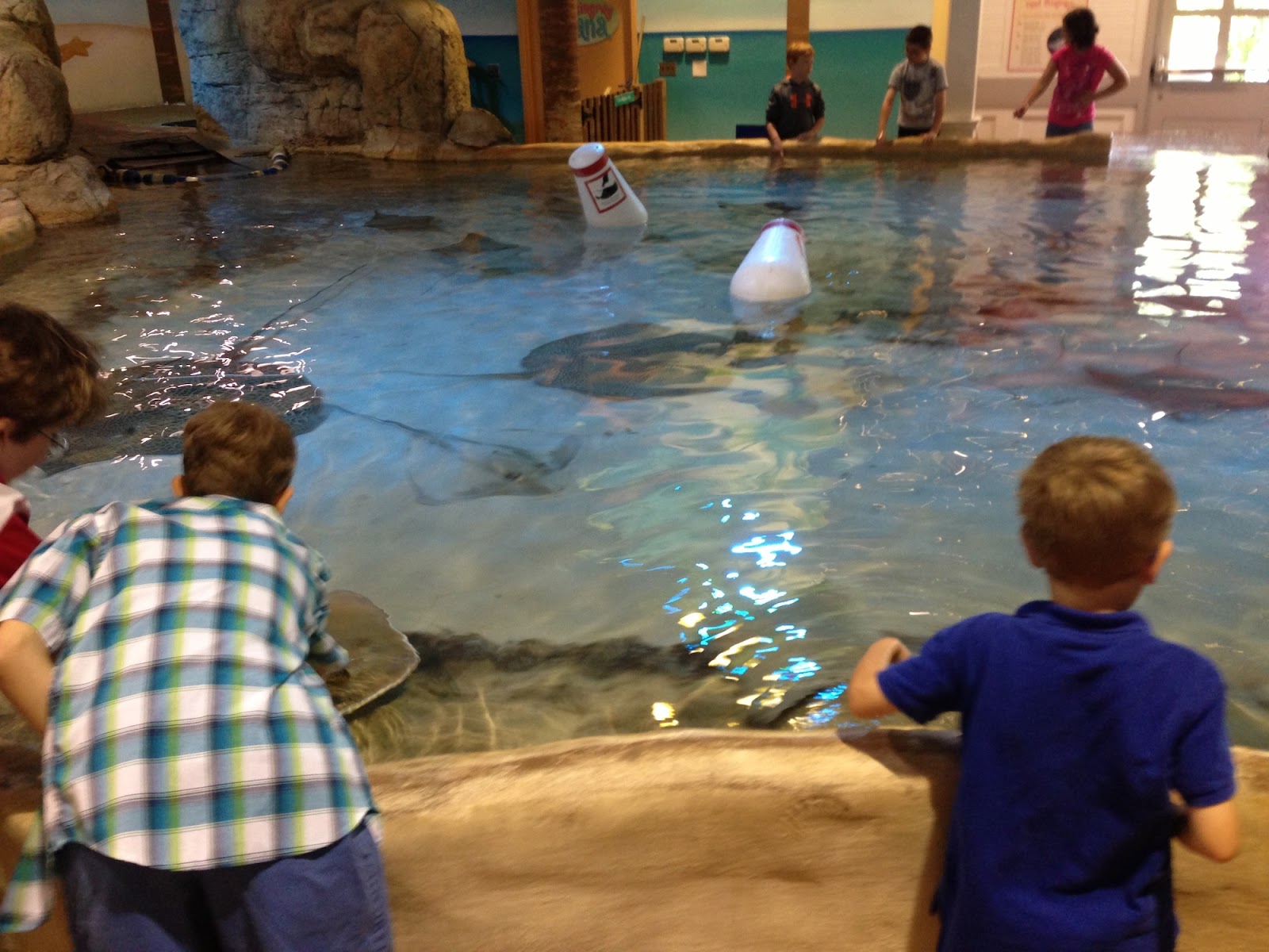 Visiting Adventure Aquarium in NJ