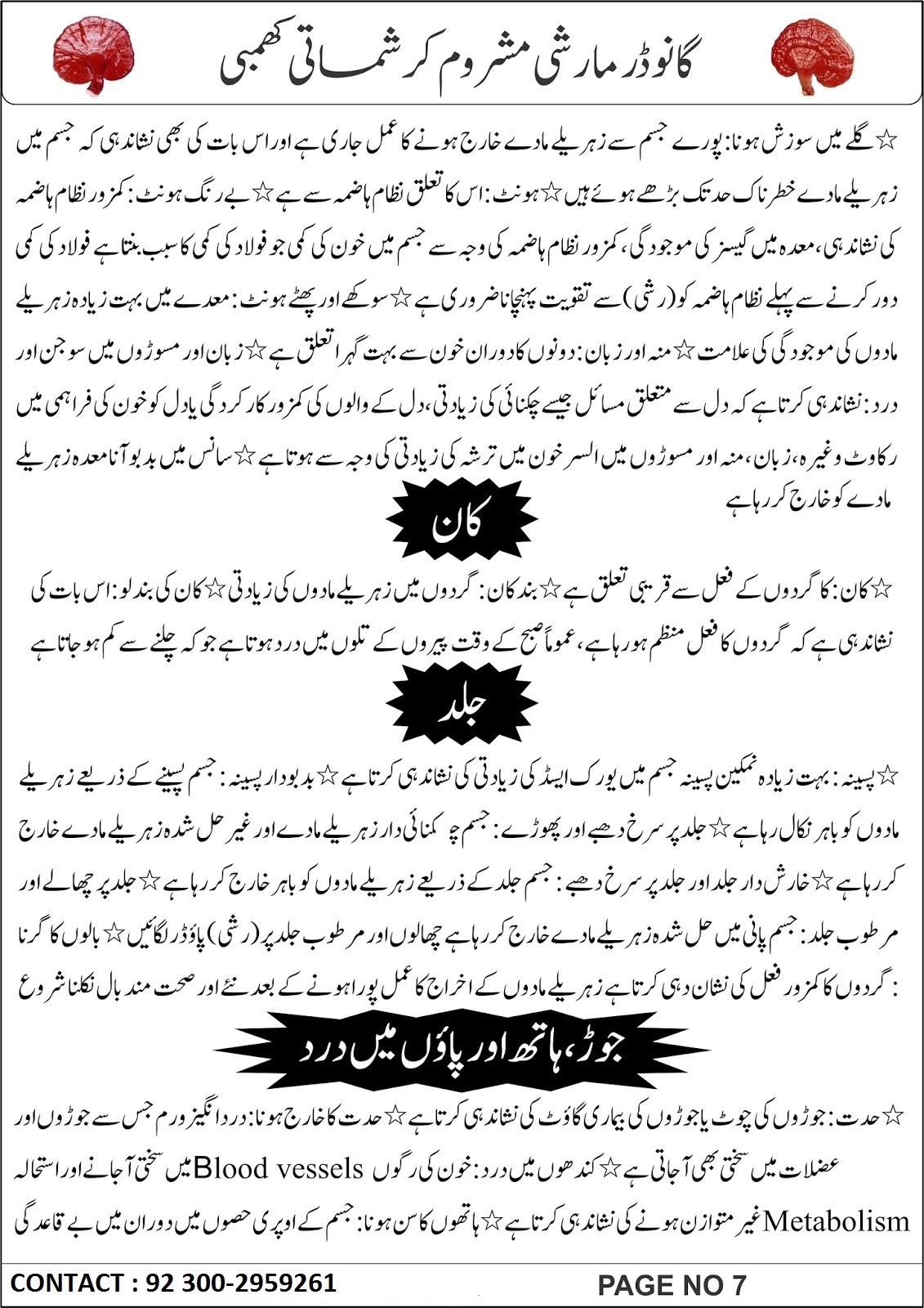 DXN One World One Market REISHI MUSHROOM (GANODERMA) IN URDU