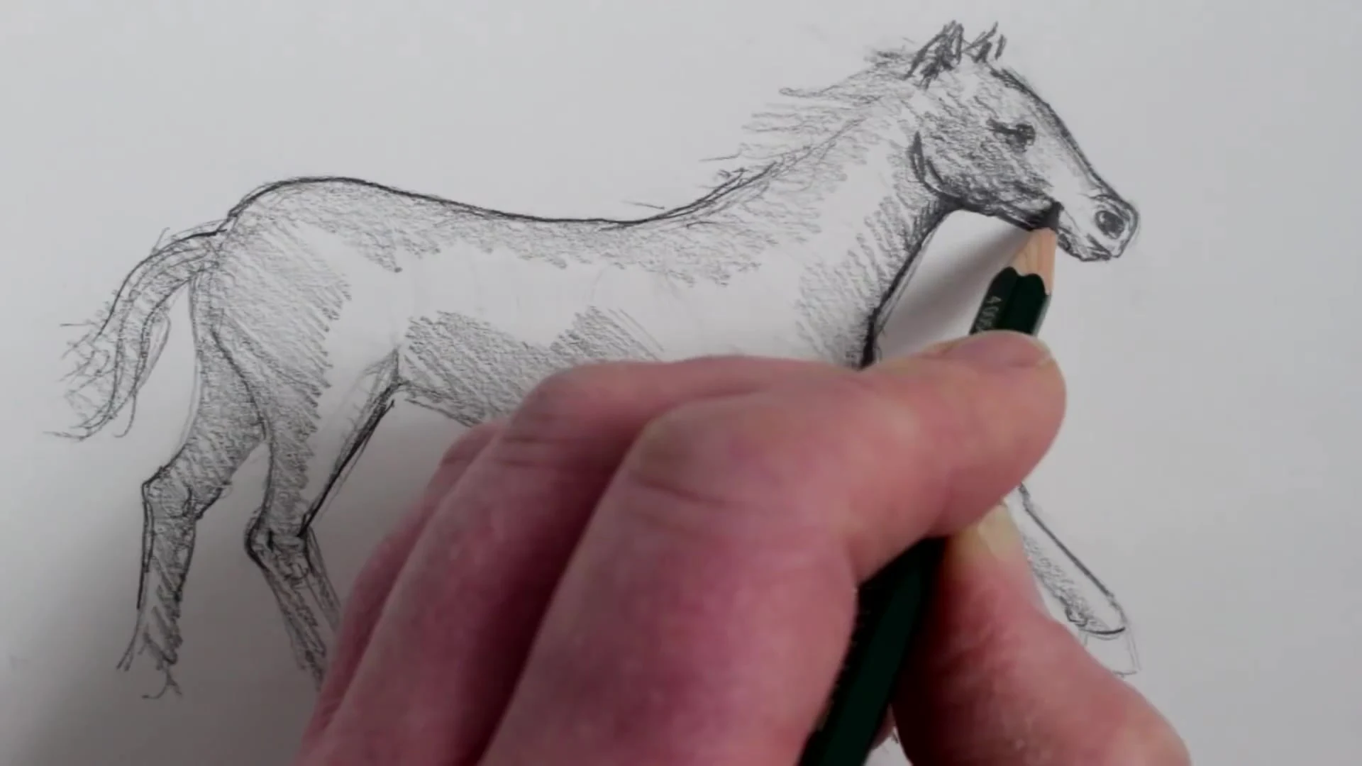 رسم حصان بالرصاص