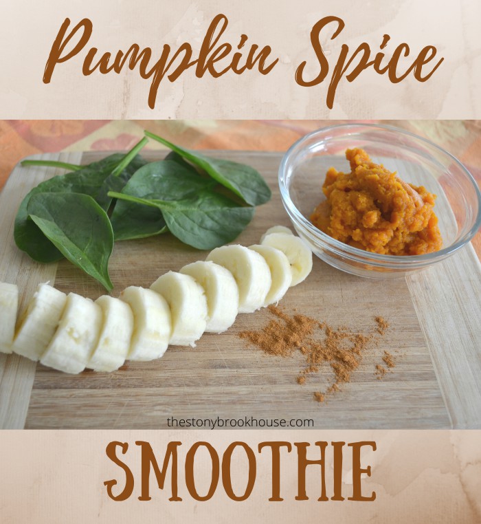 Pumpkin Spice Smoothie