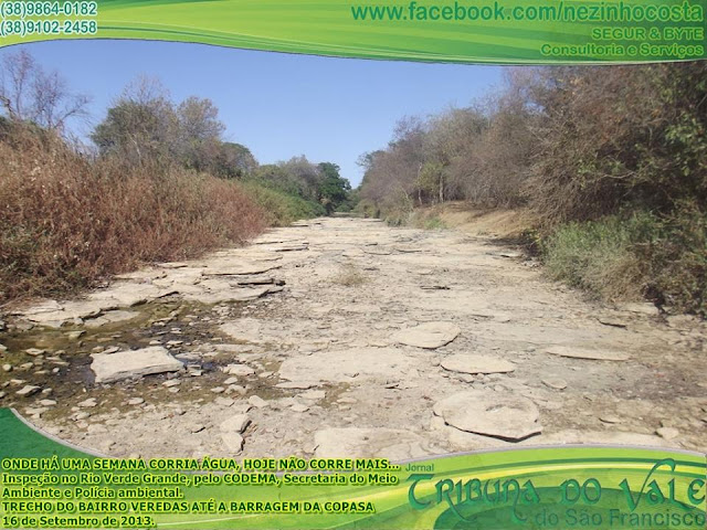 Resultado de imagem para Verde Grande seco