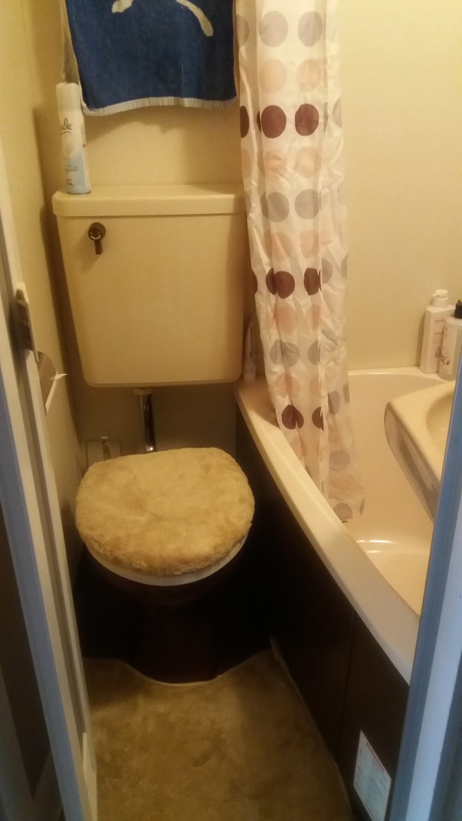 Diario en Japón: Los baños japoneses