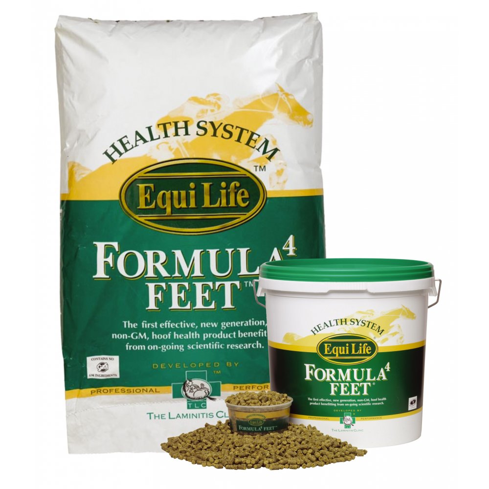 The Equestrian Blogger Formula 4 Feet