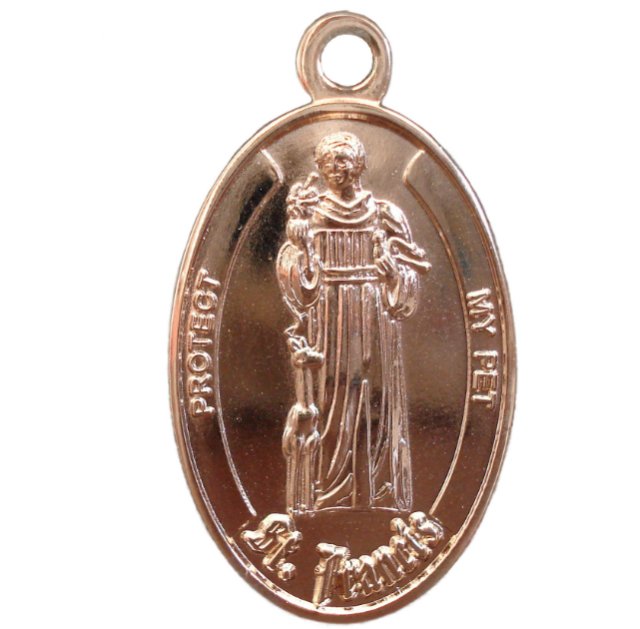 Jewelry Saint Francis Medal