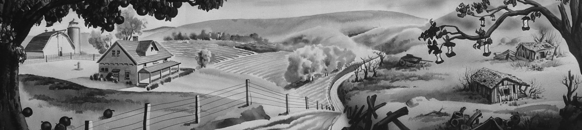 Tralfaz Porky's Bear Facts Background