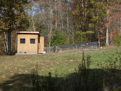 HOMESTEADING IN TENNESSEE: The Chicken Coop