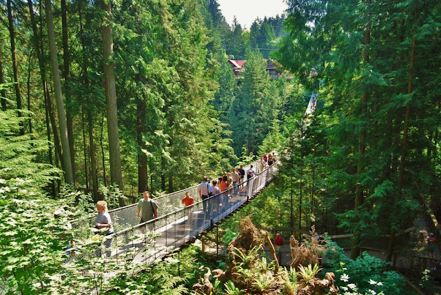 Forest Walk Babakan Siliwangi Bandung