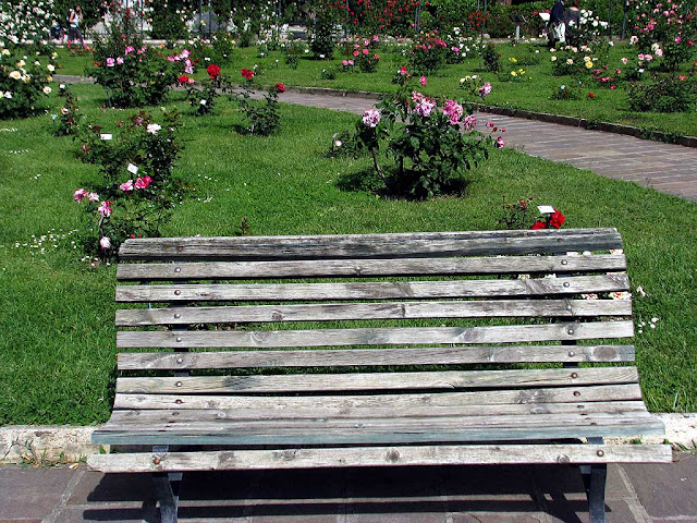 Bench, Roseto di Roma, Rome Rose Garden, Aventine Hill, Rome