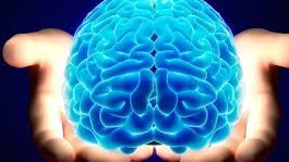 Keajaiban Otak Manusia