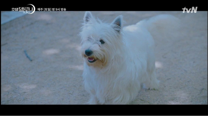 이 이미지는 대체 속성이 비어있습니다. 그 파일 이름은 20210511160736.png입니다