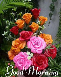 200+ Good Morning Quotes in Hindi, Best Good morning sms in Hindi 2020 200+ Good Morning Quotes in Hindi, Best Good morning sms in Hindi 2020