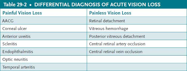 diagnosis of acute vision loss
