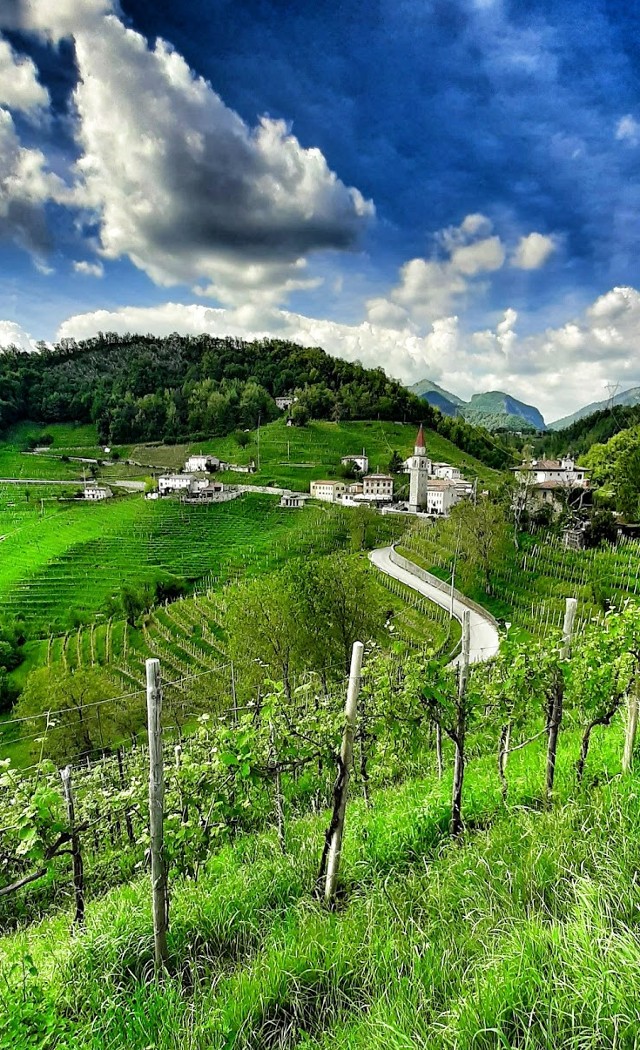 colline del prosecco cosa vedere strada del prosecco