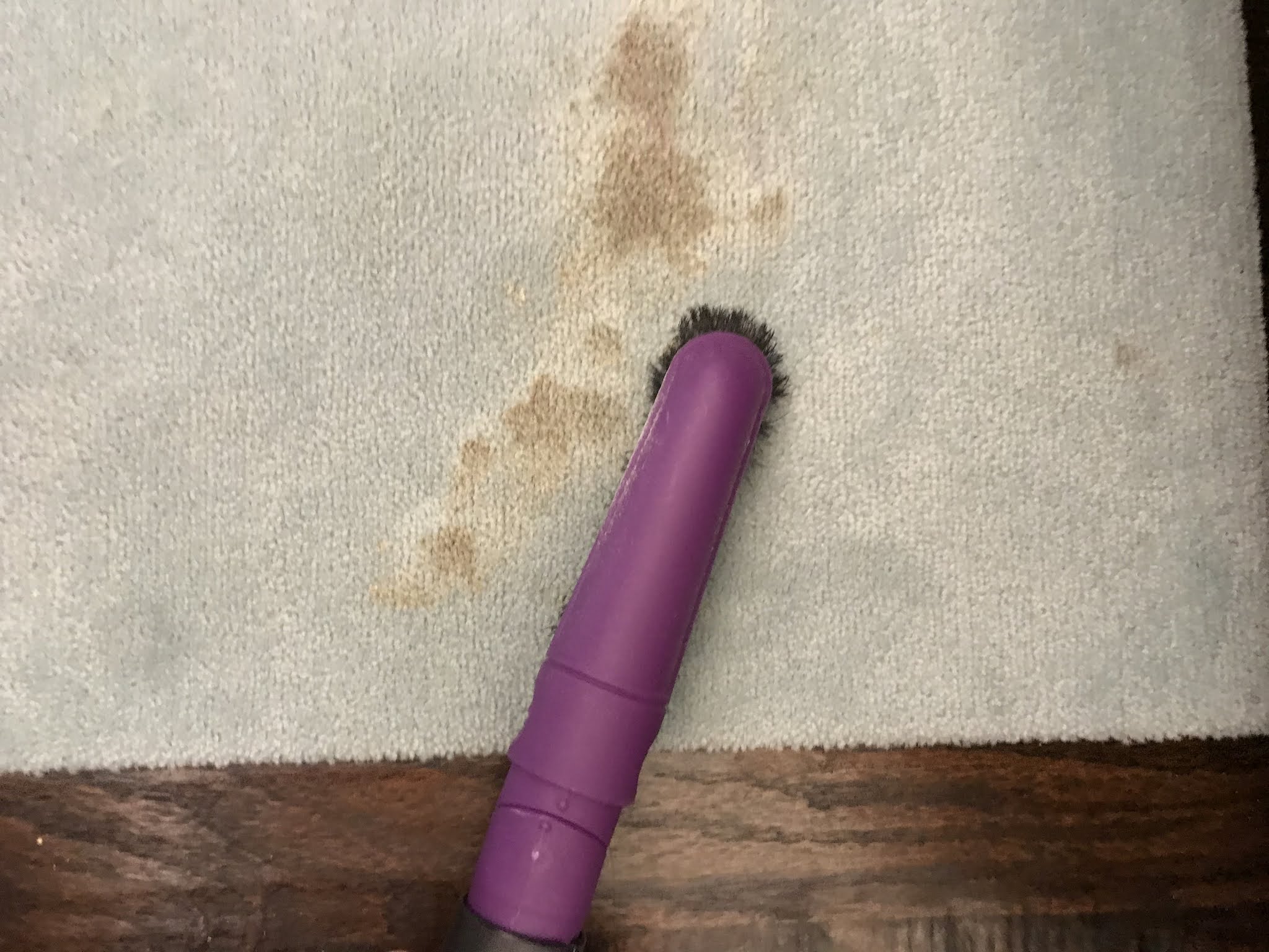 Tips for How to Clean Vomit Out of Children's Carpet with a Baking Soda